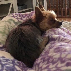 Meet your Posher, Emma